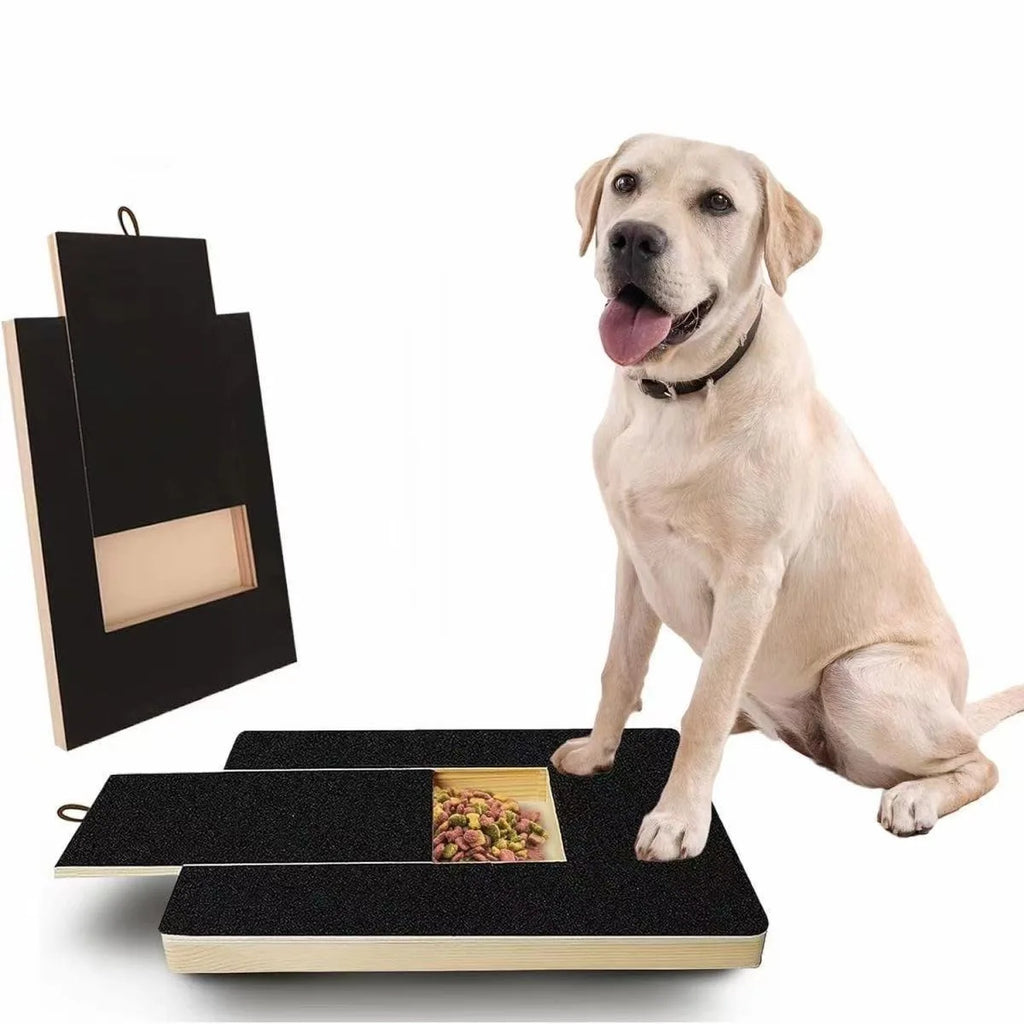 Dog Nail Scratch Board with Hidden Treat Box