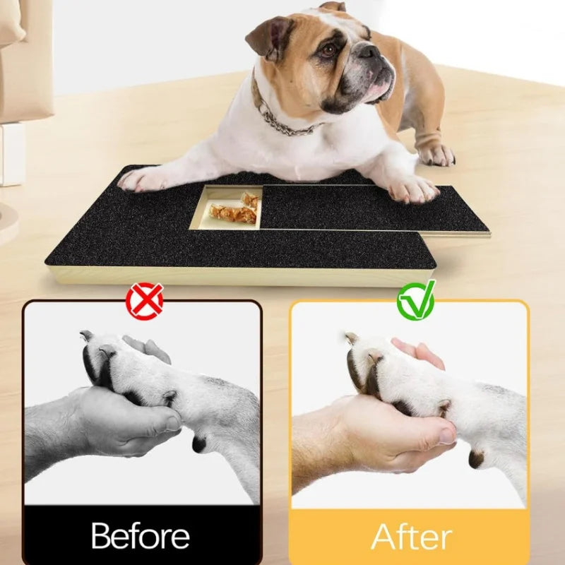 Dog Nail Scratch Board with Hidden Treat Box