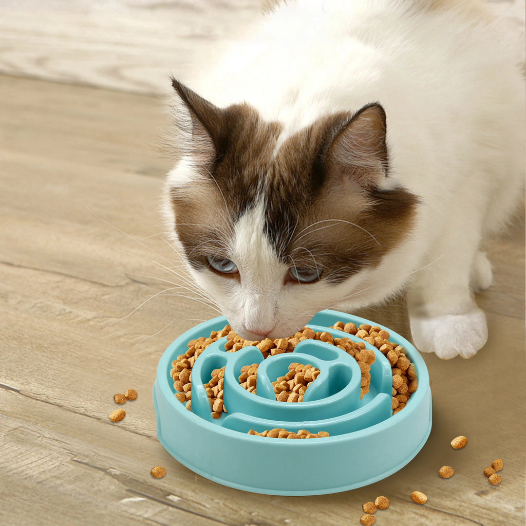 Slow Feeder Dog Bowl – Non-Slip Healthy Eating Design