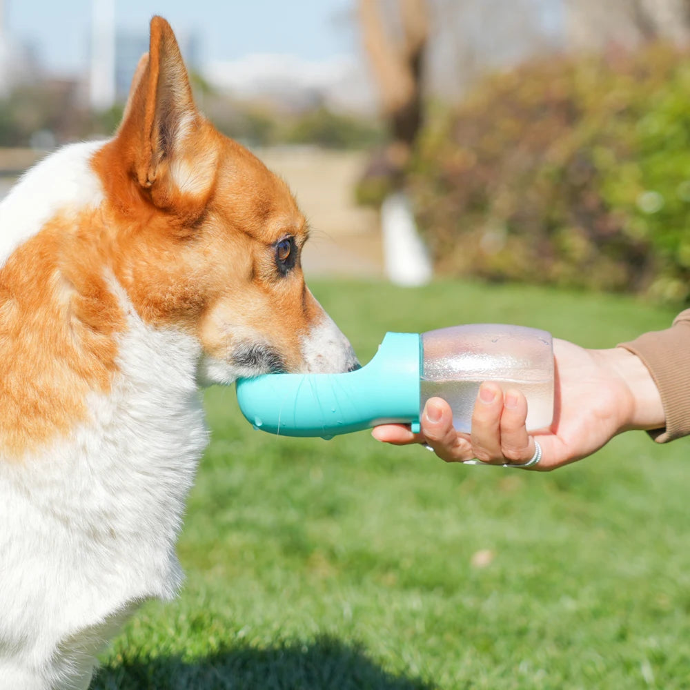 Portable Dog Water Bottle for Walks & Travel